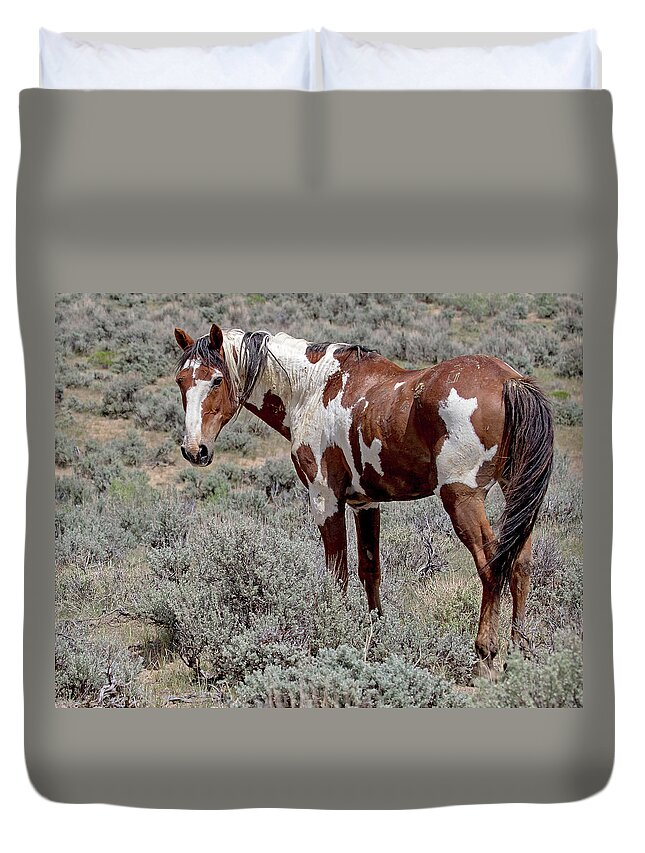 Picasso Duvet Cover featuring the photograph Picasso of Sand Wash Basin #2 by Mindy Musick King