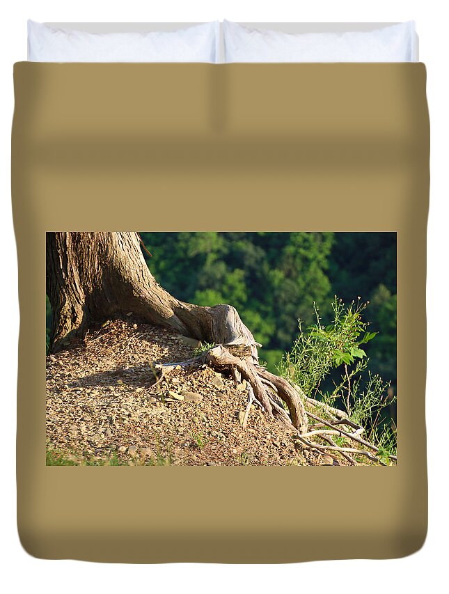 Tree Duvet Cover featuring the photograph Picture of a tree on a ledge by Susan Jensen