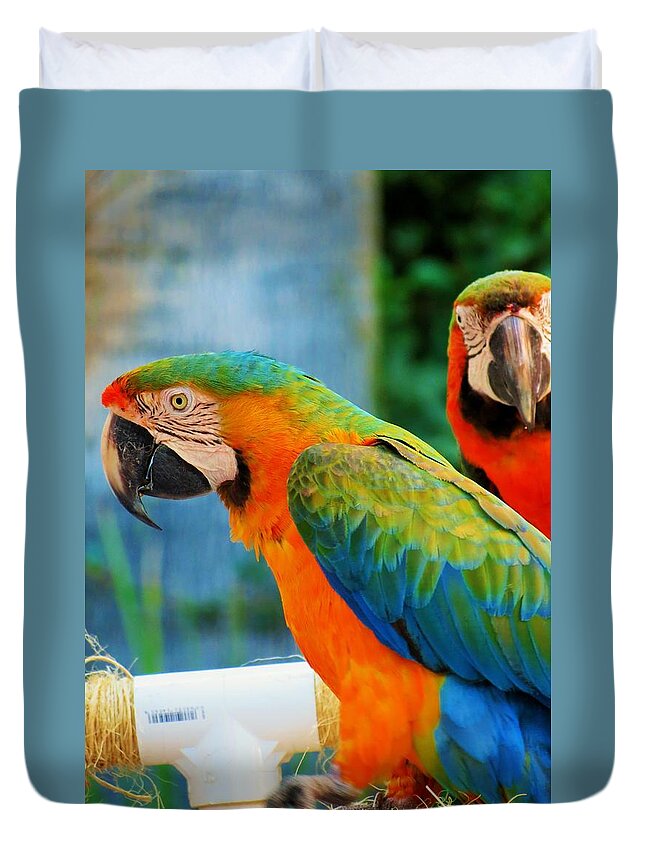 Parrots Duvet Cover featuring the photograph Picture Perfect Parrots by Vijay Sharon Govender