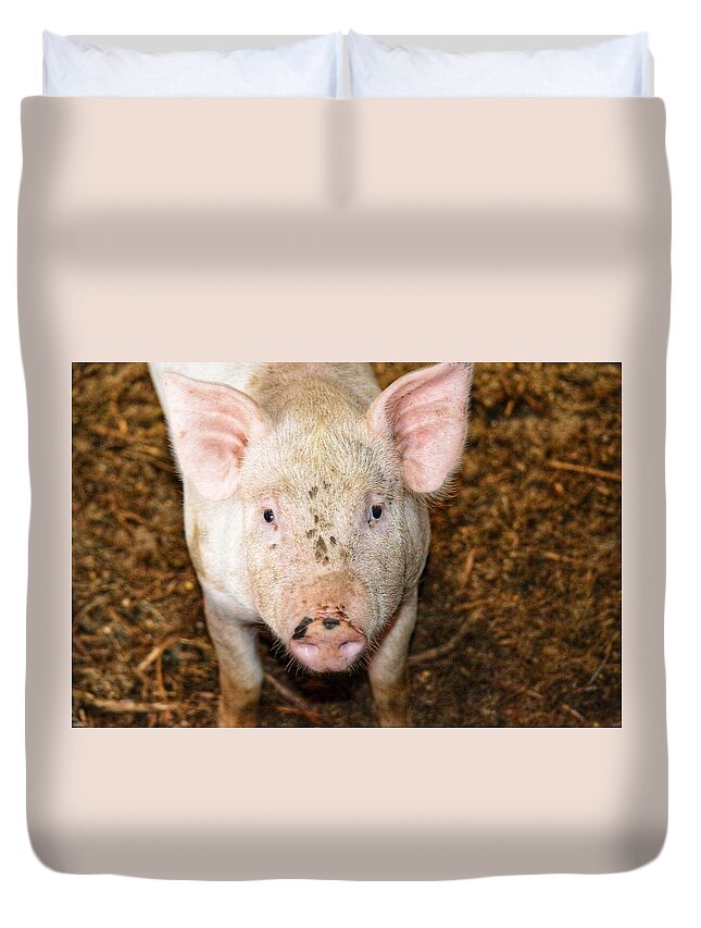 Pig Duvet Cover featuring the photograph Pig by Joseph Caban