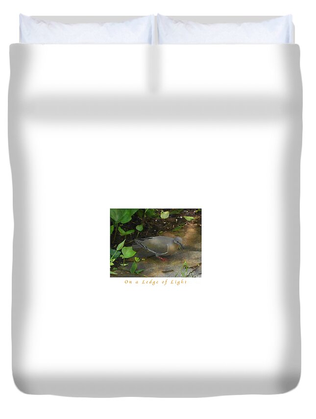 Single Pigeon Duvet Cover featuring the photograph Pigeon Poster by Felipe Adan Lerma