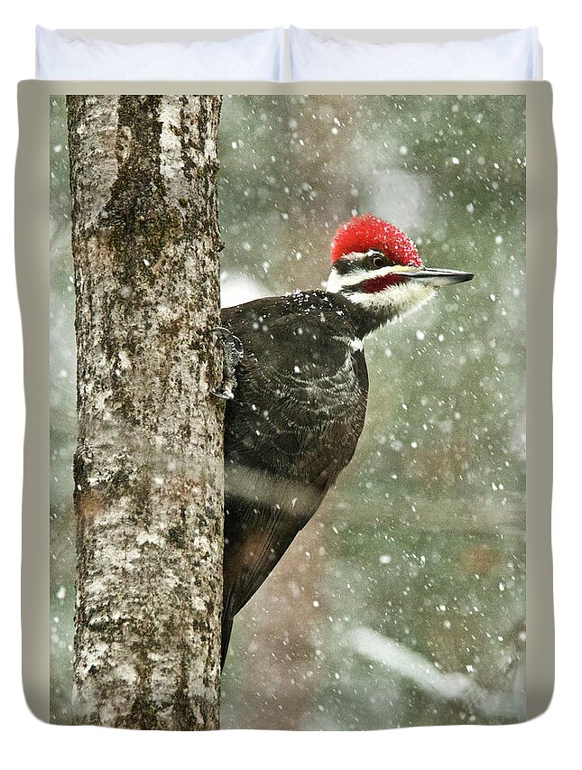 Woodpecker Duvet Cover featuring the photograph Pileated Woodpecker on a Snowy Day by Michael Peychich