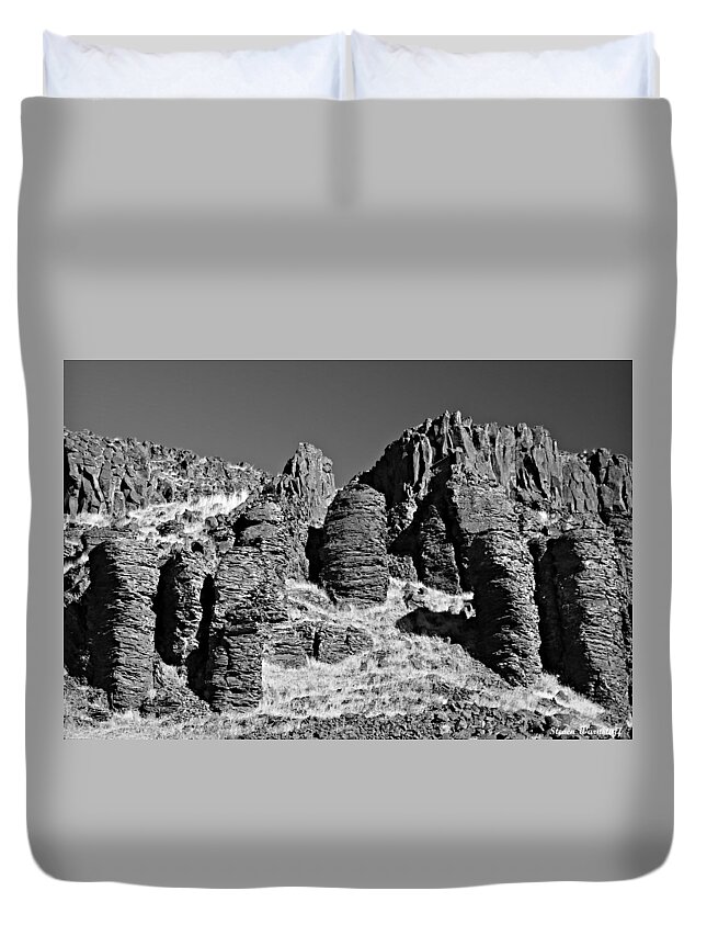 Oregon Duvet Cover featuring the photograph Pillars in Time II by Steve Warnstaff