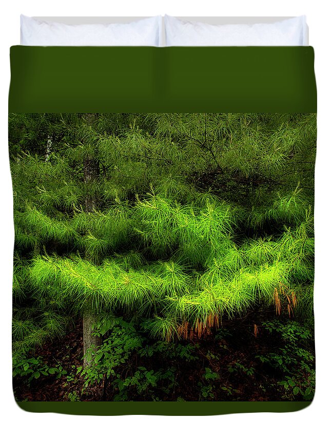 Pine Tree Duvet Cover featuring the photograph Pine by Mike Eingle