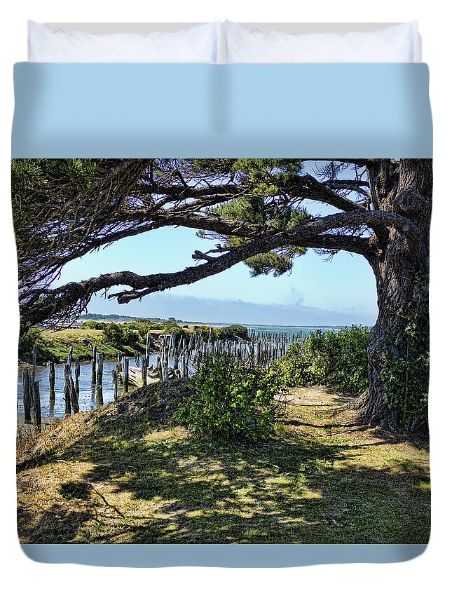 Fog Duvet Cover featuring the photograph Pine Pilings and Mist by Hugh Smith