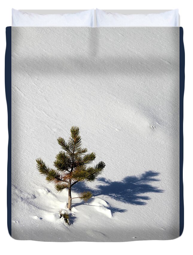 Pine Duvet Cover featuring the photograph Pine Shadow by Shane Bechler