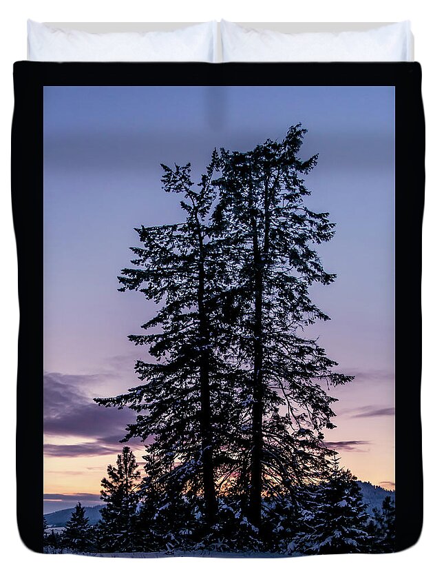 Landscape Duvet Cover featuring the photograph Pine Tree Silhouette  by Lester Plank