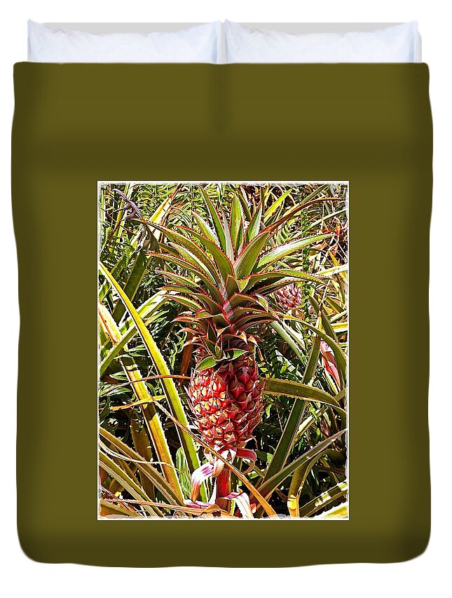 Pineapple Duvet Cover featuring the photograph Pineapple by Gini Moore