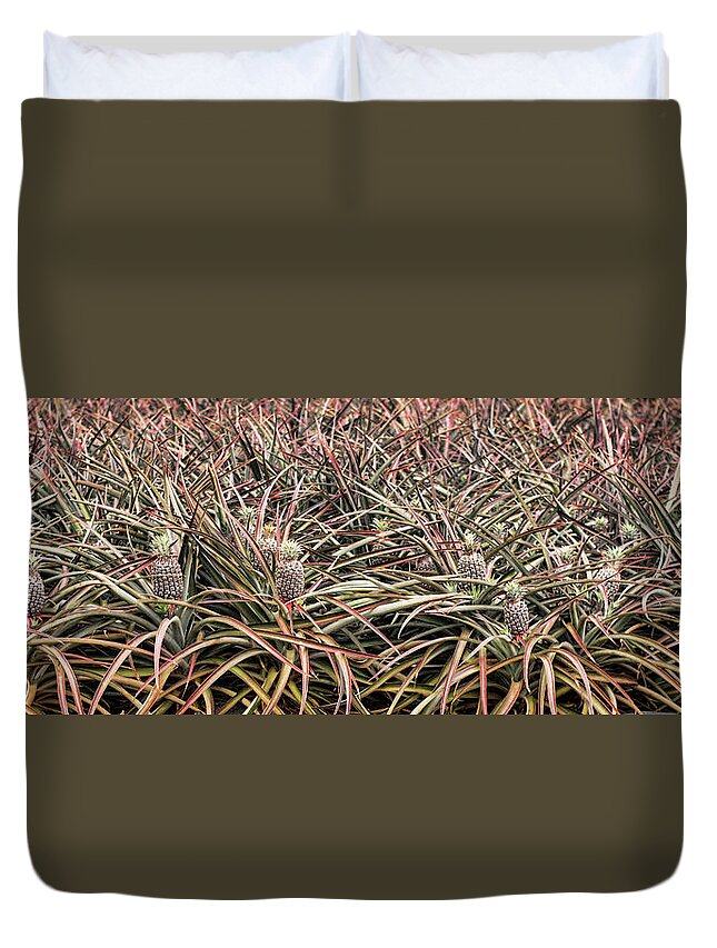 Pineapple Duvet Cover featuring the photograph Pineapple Pano by Heather Applegate