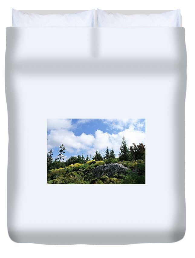 Trees Duvet Cover featuring the photograph Pines at the top by Lois Lepisto