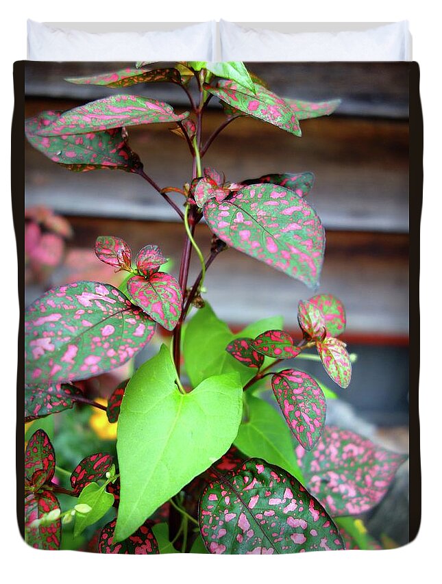 Pink And Green Plants Duvet Cover featuring the photograph Pink and Green Plants by Jacqueline Athmann