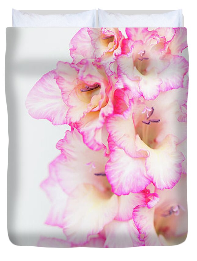 Gladiola Duvet Cover featuring the photograph Pink and White Gladiola by Susan Gary
