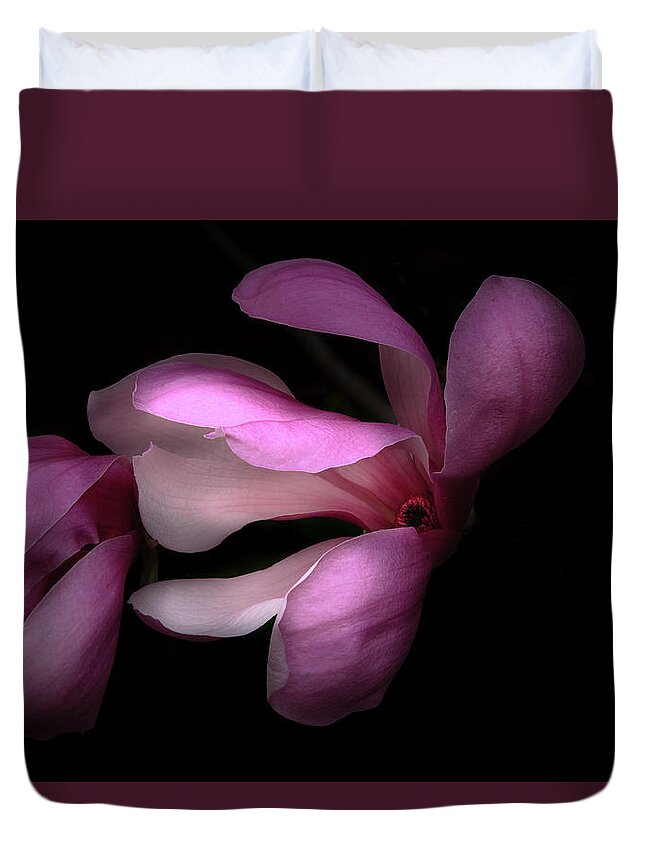 Morton Arboretum Duvet Cover featuring the photograph Pink and White Magnolia in Silhouette by Joni Eskridge