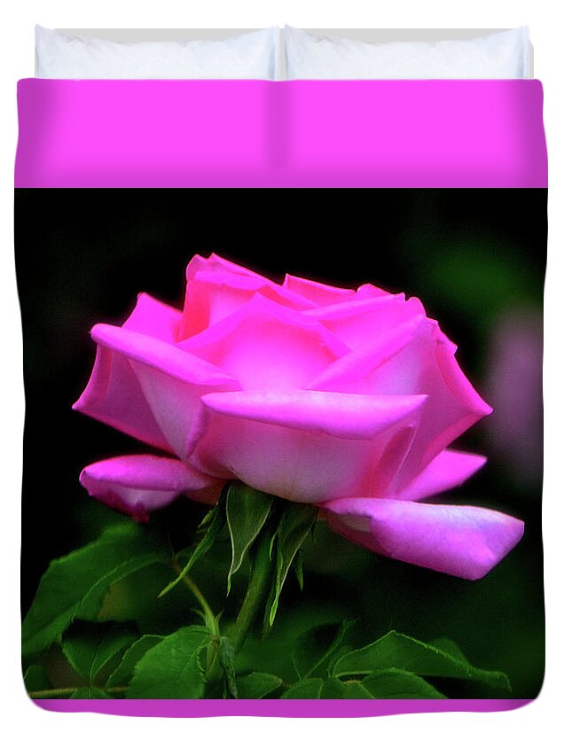 Rose Duvet Cover featuring the photograph Pink And White Rose 005 by George Bostian