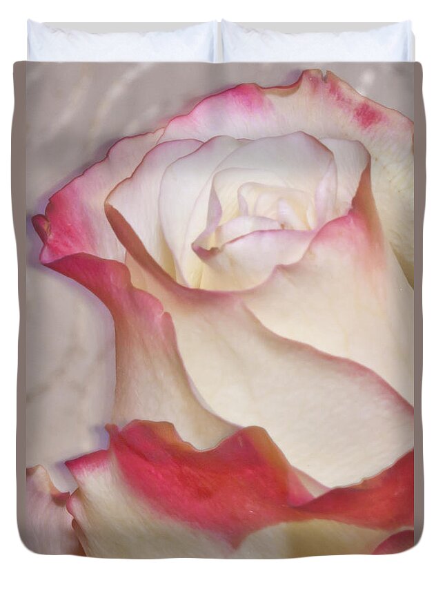 Pink And White Rose Duvet Cover featuring the photograph Pink And White Rose by Sandra Foster