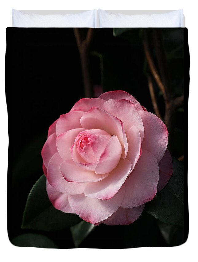 Pink Duvet Cover featuring the photograph Pink Beauty Camellia by Tammy Pool