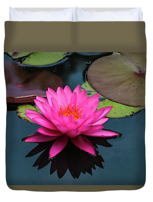 Flower Duvet Cover featuring the photograph Pink Beauty by Tom and Pat Cory