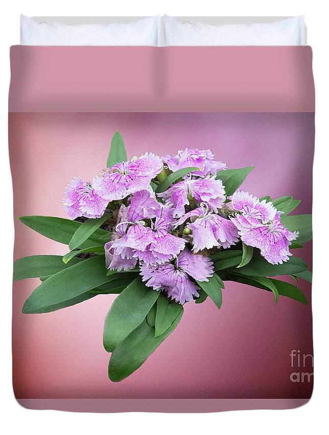 Flowers Duvet Cover featuring the photograph Pink Blooming Plant by Linda Phelps