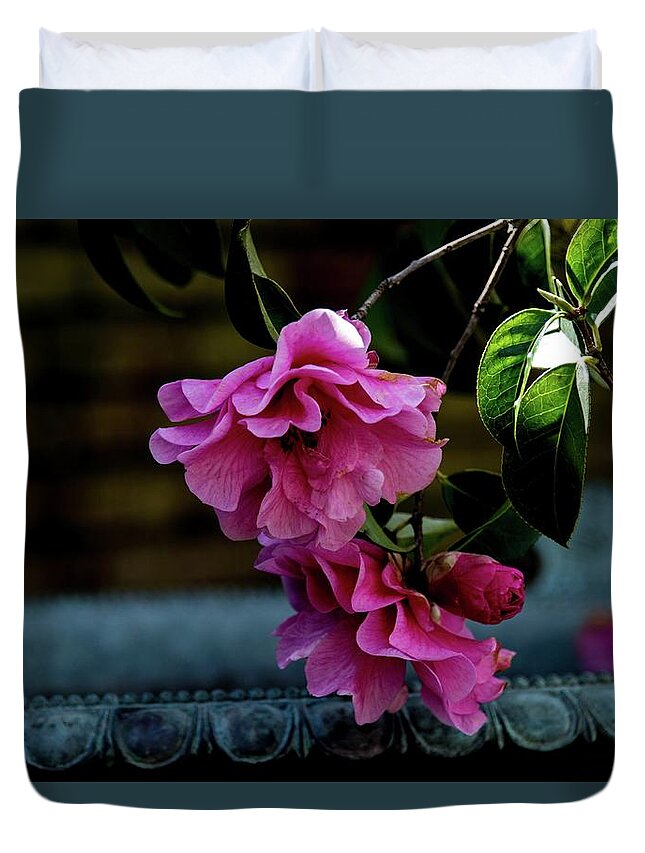 Pink Duvet Cover featuring the photograph Filoli Pink Camellia by Patricia Dennis