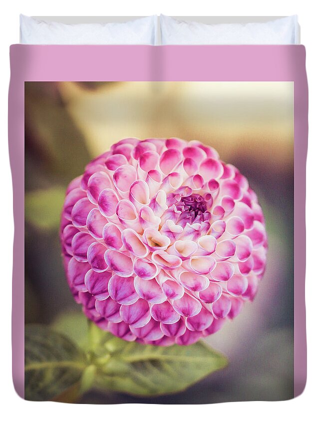 #flowers #photography #nature #garden #dahlia #petals #pink #pretty #summer #minnesota #flowerphotography #happy Duvet Cover featuring the photograph Pink Dahlia by Rebekah Zivicki