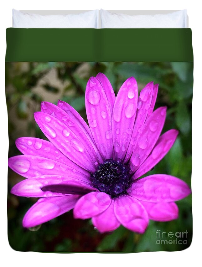 Nature Duvet Cover featuring the photograph Pink daisy by Wonju Hulse