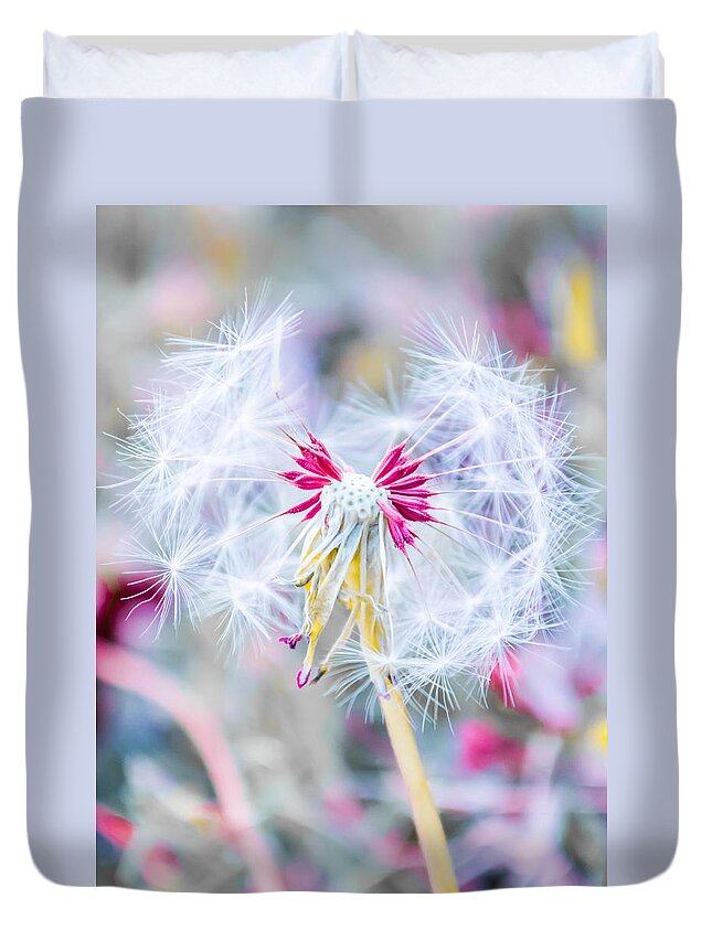 Pink Duvet Cover featuring the photograph Pink Dandelion by Parker Cunningham