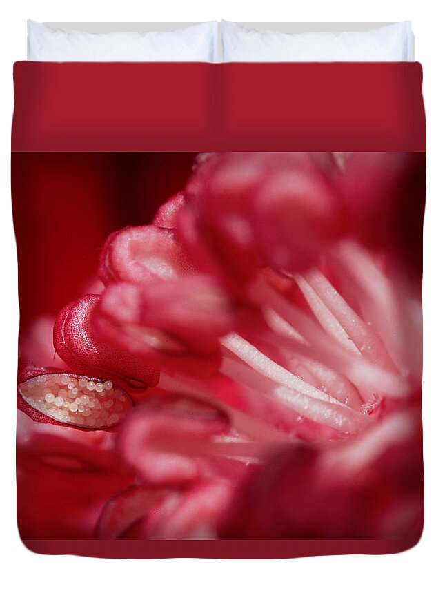 Flower Duvet Cover featuring the photograph Pink Delight by Robert Och