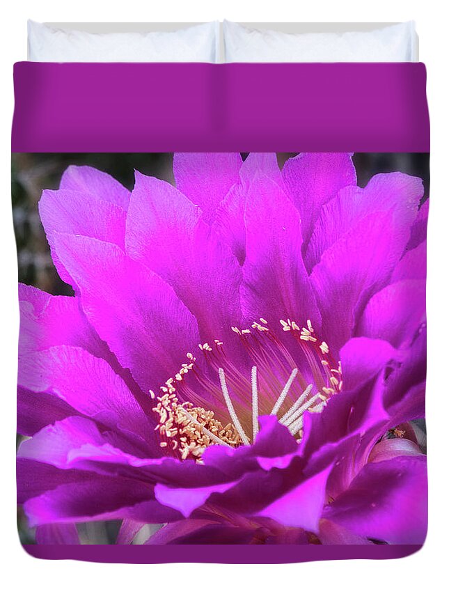 Echinopsis Duvet Cover featuring the photograph Pink Echinopsis Bloom by Saija Lehtonen