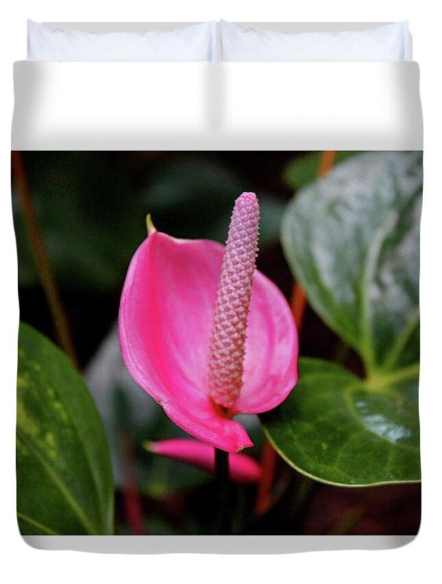 Flamingo Duvet Cover featuring the photograph Pink Flamingo Flower I by Michiale Schneider