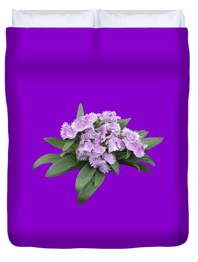 Plant Duvet Cover featuring the photograph Pink Floral Cutout by Linda Phelps