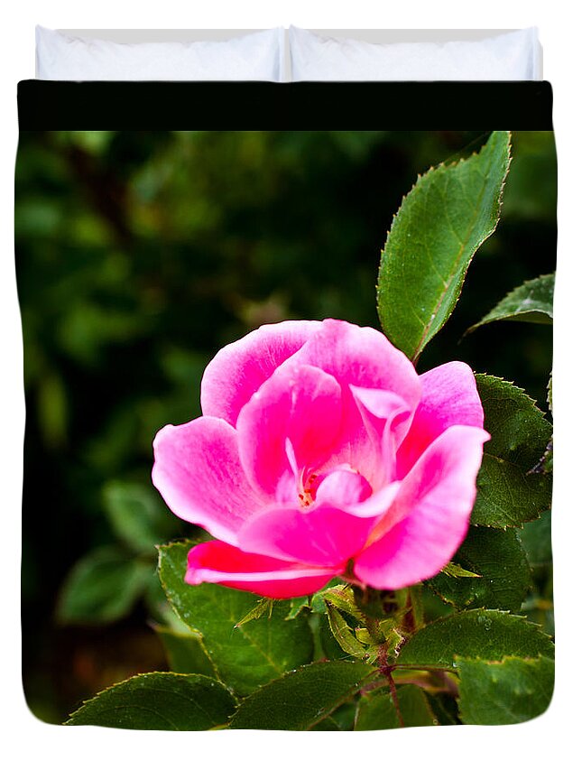  Duvet Cover featuring the photograph Pink Flower by James Gay