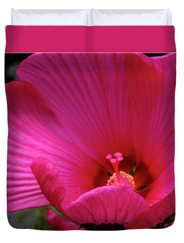 Floral Duvet Cover featuring the photograph Pink Hibiscus by Mikki Cucuzzo