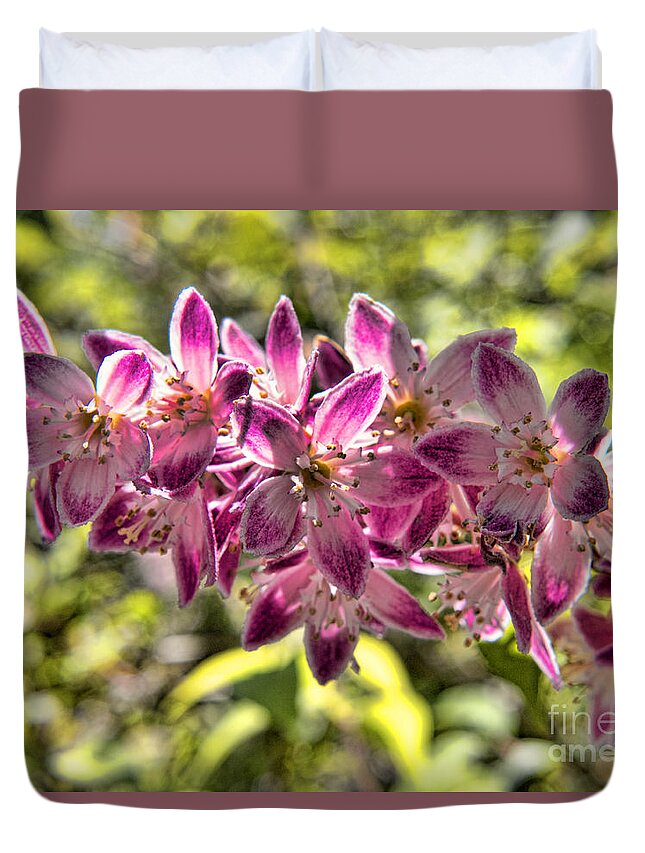 Biltmore Duvet Cover featuring the photograph Pink Ladies in Spring Glory by Brenda Kean