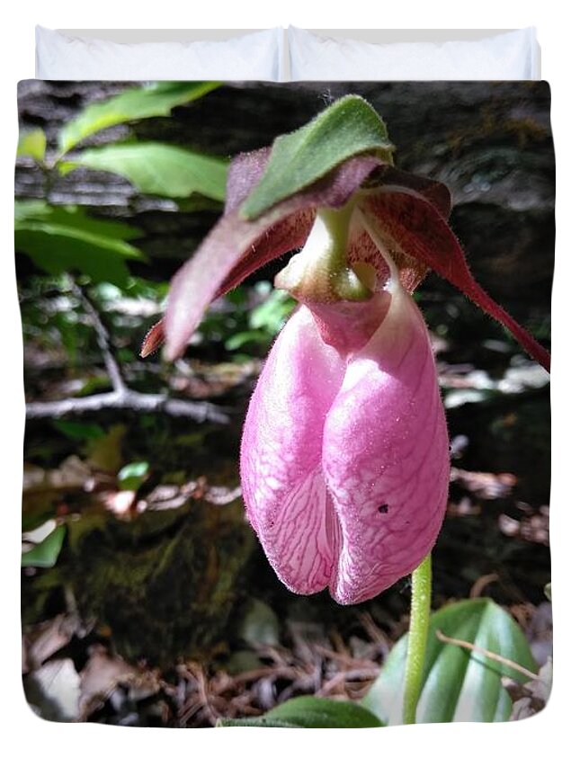 Nature Duvet Cover featuring the photograph Pink Ladies Slipper by Robert Nickologianis