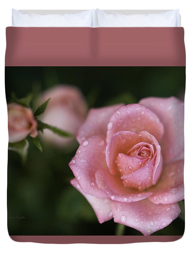 Beautiful Photos Duvet Cover featuring the photograph Pink Miniature Roses 3 by Roger Snyder
