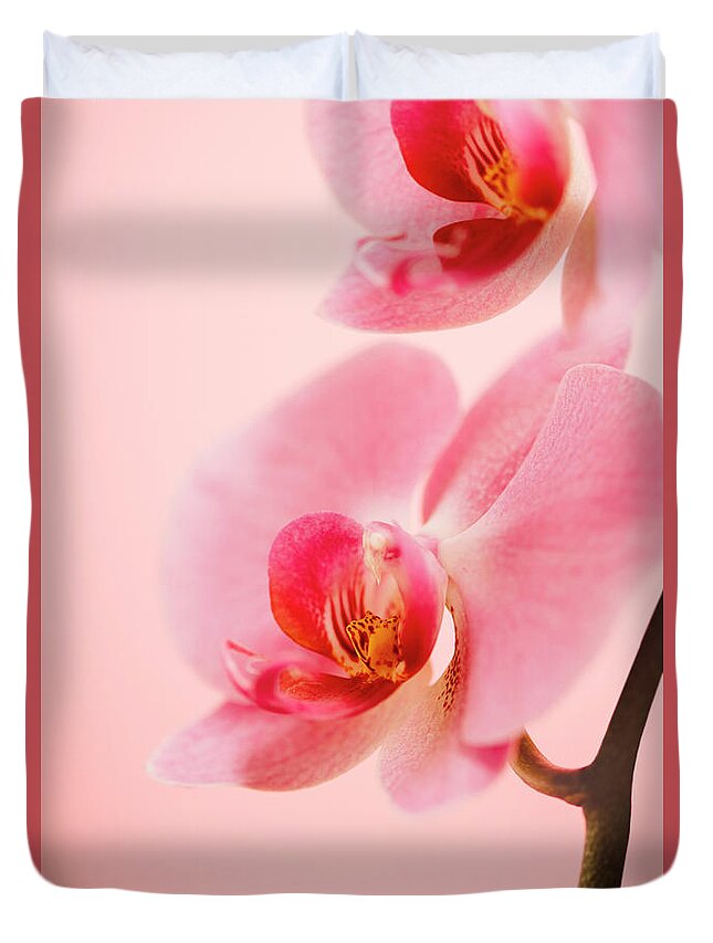 Orchid Duvet Cover featuring the photograph Pink Orchid Closeup by Jelena Jovanovic