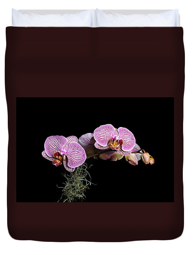 Orchid Duvet Cover featuring the photograph Pink Orchids by Gary Dean Mercer Clark