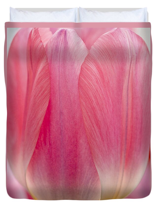 Beauty Duvet Cover featuring the photograph Pink Passion by Eggers Photography