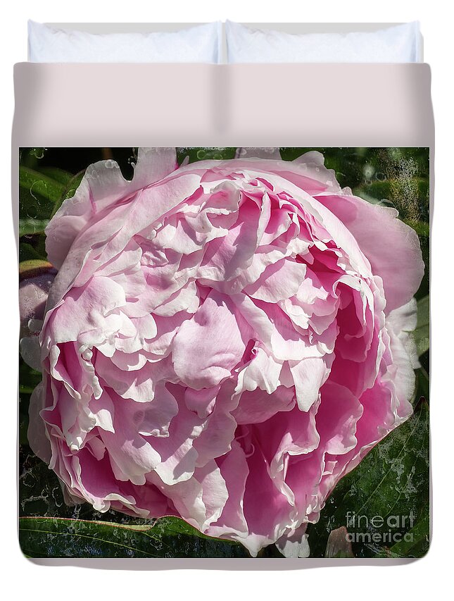 Pink Peony Duvet Cover featuring the photograph Pink Peony II by Scott and Dixie Wiley
