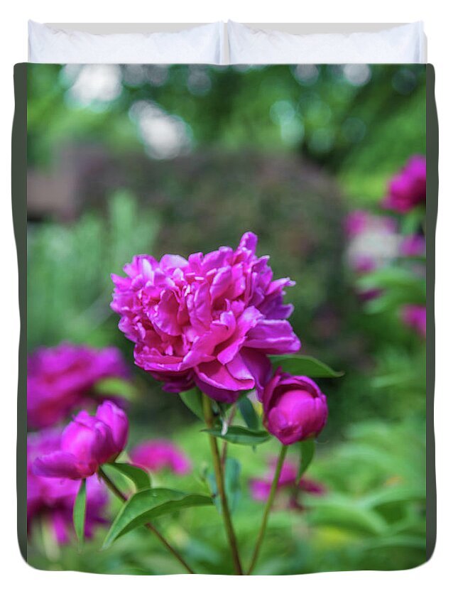 Peony Duvet Cover featuring the photograph Pink Peony by Pamela Williams