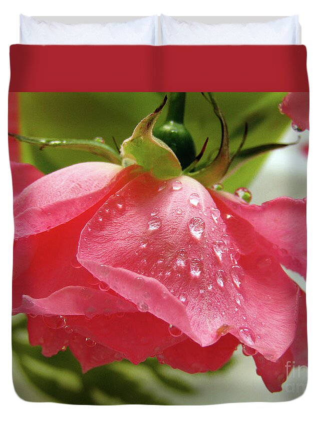 Rose Duvet Cover featuring the photograph Pink Rose 3 by Kim Tran