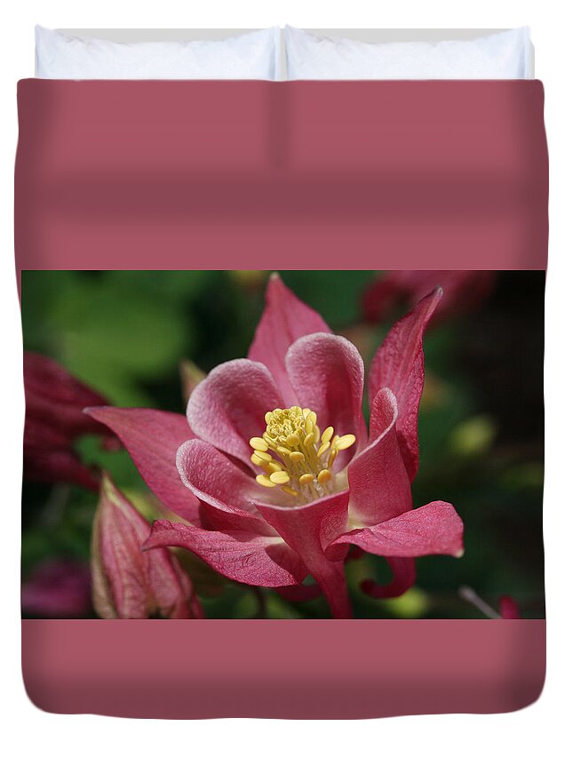 Pink Duvet Cover featuring the photograph Pink Swan by Tammy Pool