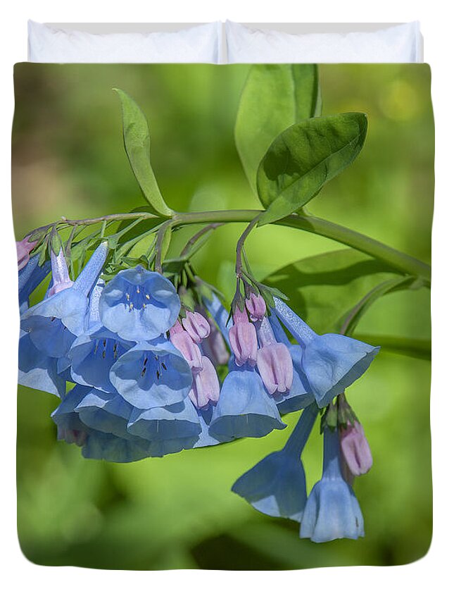 Nature Duvet Cover featuring the photograph Pink Virginia Bluebells or Virginia Cowslip DSPF0334 by Gerry Gantt
