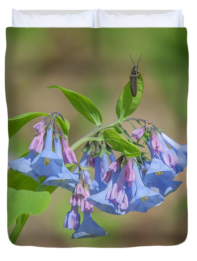 Nature Duvet Cover featuring the photograph Pink Virginia Bluebells or Virginia Cowslip DSPF0335 by Gerry Gantt