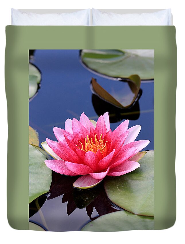 Pink Duvet Cover featuring the photograph Pink water lily in a pond by Pierre Leclerc Photography