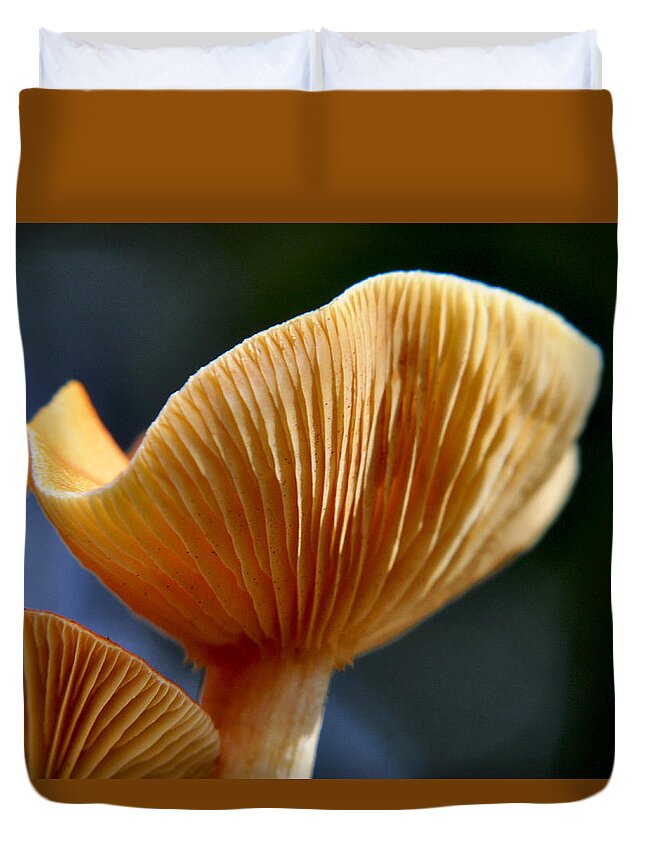  Duvet Cover featuring the photograph Pinstripe Fungus by Glenn Grossman