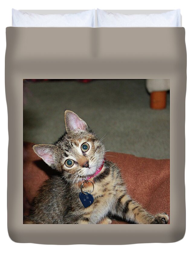 Kittens Duvet Cover featuring the photograph Pippi the Kitty by Catie Canetti