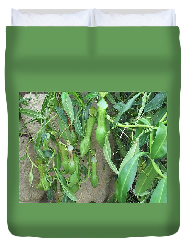 Green Duvet Cover featuring the photograph Pitcher Plant Madness by Brandy Woods