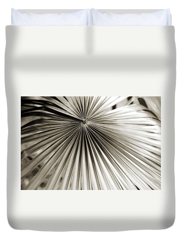  Plant Duvet Cover featuring the photograph Plant Lines by Marilyn Hunt