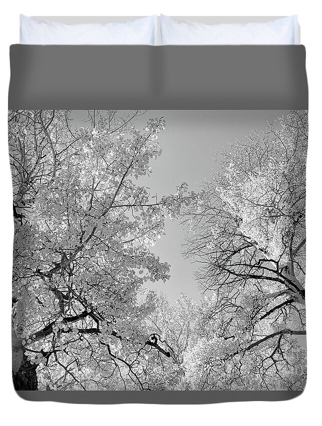 Black And White Landscape Duvet Cover featuring the photograph Platinum Skies by Jim Garrison